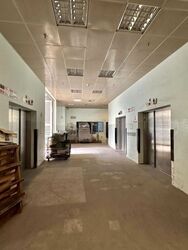 Loyang Industrial Estate (D17), Factory #631037681